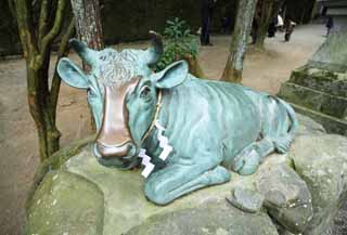 photo,material,free,landscape,picture,stock photo,Creative Commons,Ishigami major shrine cow image, The Japanese Chronicle of Japan, description of folk history, The Ox, bronze statue