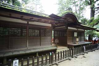 Foto, materiell, befreit, Landschaft, Bild, hat Foto auf Lager,Ishigami bedeutender Schrein Tateo Izumo Shrine Frontschrein, Die japanische Chronik von Japan, Beschreibung der Volksgeschichte, hlzernes Gebude, Gittertr