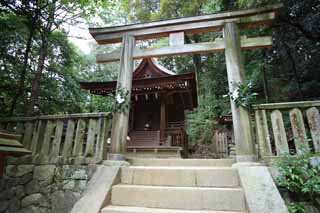 foto,tela,gratis,paisaje,fotografa,idea,Ishigami muy importante santuario de Izumo de Tateo del santuario, La crnica japonesa de Japn, Descripcin de historia folklrica, Edificio de madera, Shinto