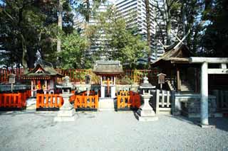 Foto, materieel, vrij, landschap, schilderstuk, bevoorraden foto,Fushimi-inari Taisha Shrine deskundige jester, Shinto, Shinto heiligdom, Inari, Vos