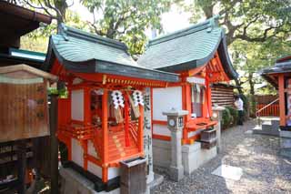 fotografia, materiale, libero il panorama, dipinga, fotografia di scorta,Fushimi-Inari Taisha societ di campo di carico di Sacrario, La visita di anno Nuovo ad un sacrario scintoista, Io sono dipinto in rosso, Inari, volpe