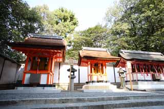 , , , , ,  .,Fushimi- Taisha Shrine  jester, Shinto,   , , 