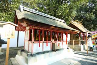 photo, la matire, libre, amnage, dcrivez, photo de la rserve,Fushimi-Inari Taisha compagnie du champ de la charge du Temple, La visite de nouvelle anne  un temple shintoste, Je suis peint en rouge, Inari, renard