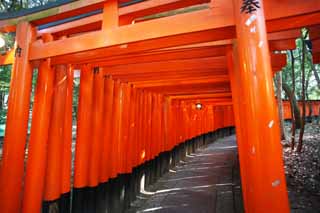 Foto, materiell, befreit, Landschaft, Bild, hat Foto auf Lager,1,000 Fushimi-Inari Taisha Shrine toriis, Neujahr besucht zu einem schintoistischen Schrein, torii, Inari, Fuchs