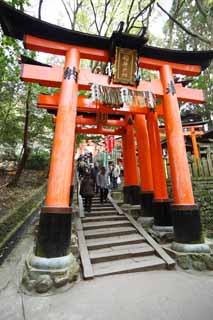 photo,material,free,landscape,picture,stock photo,Creative Commons,Fushimi-Inari Taisha Shrine torii, New Year's visit to a Shinto shrine, torii, Inari, fox