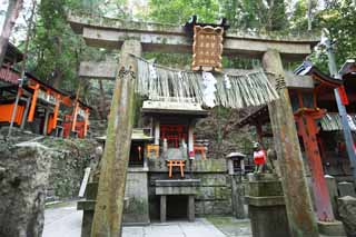 fotografia, material, livra, ajardine, imagine, proveja fotografia,Fushimi-Inari Taisha torii de Santurio, A visita de Ano novo para um santurio de Xintosmo, torii, Inari, raposa