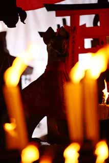 fotografia, materiale, libero il panorama, dipinga, fotografia di scorta,Fushimi-Inari Taisha societ di aquila di falco di Sacrario, candela, , Inari, volpe