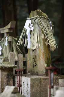 ,,, ,,,   Taisha Fushimi-Inari.,   .,  ., Inari., .