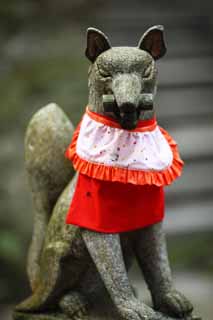 photo,material,free,landscape,picture,stock photo,Creative Commons,Fushimi-Inari Taisha Shrine fox image, Rolled drapery, torii, Inari, fox