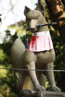 ,,, ,,,   Taisha Fushimi-Inari.,   , torii., Inari., .