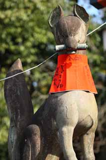 photo,material,free,landscape,picture,stock photo,Creative Commons,Fushimi-Inari Taisha Shrine fox image, Rolled drapery, torii, Inari, fox