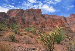 photo,material,free,landscape,picture,stock photo,Creative Commons,Canyon and cactuses, cliff, blue sky, , 