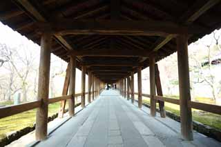 foto,tela,gratis,paisaje,fotografa,idea,Templo de Tofuku - ji resultar en el puente de cielo, Chaitya, Puente, Corredor de puente, 