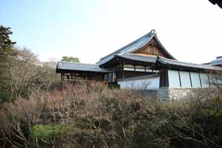 Foto, materiell, befreit, Landschaft, Bild, hat Foto auf Lager,Tofuku-ji Temple Hauptpriester, Chaitya, Zen Buddhismus, Chinesisch-Stiltor, trocknen Sie Landschaft japanischen Gartengarten