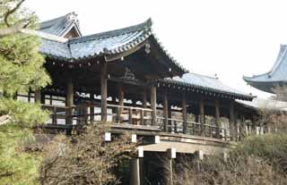 photo,material,free,landscape,picture,stock photo,Creative Commons,Tofuku-ji Temple leading to the sky bridge, Chaitya, bridge, bridge corridor, 