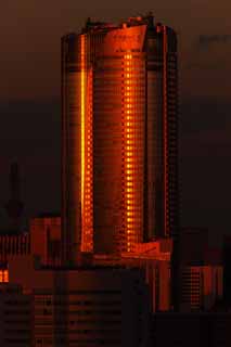 fotografia, materiale, libero il panorama, dipinga, fotografia di scorta,Tokio del crepuscolo, Roppongi riduce ad una montagnola, costruendo, Albero di cielo, 