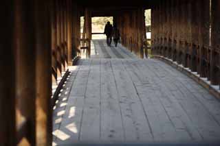 foto,tela,gratis,paisaje,fotografa,idea,Templo de Tofuku - ji resultar en el puente de cielo, Chaitya, Puente, Corredor de puente, 