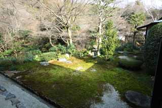 fotografia, material, livra, ajardine, imagine, proveja fotografia,O jardim do Templo de Tofuku-ji o padre principal, Chaitya, pedra, Japons ajardina, apedreje lanterna