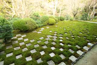 Foto, materieel, vrij, landschap, schilderstuk, bevoorraden foto,Tofuku-ji Tempel opperhoofd pastoor noord tuin, Chaitya, Controles, Chinees-trant poort, Achterplaats