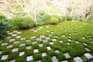 Foto, materiell, befreit, Landschaft, Bild, hat Foto auf Lager,Tofuku-ji Temple Hauptpriester Nordgarten, Chaitya, Schecks, Chinesisch-Stiltor, Hinterhof