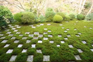 Foto, materiell, befreit, Landschaft, Bild, hat Foto auf Lager,Tofuku-ji Temple Hauptpriester Nordgarten, Chaitya, Schecks, Chinesisch-Stiltor, Hinterhof