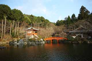 fotografia, materiale, libero il panorama, dipinga, fotografia di scorta,Moglie di Tempio di Daigo-ji di tempio di zen-prete principale, Chaitya, stagno, Sarasvati, Io sono dipinto in rosso