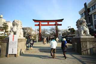 Foto, materiell, befreit, Landschaft, Bild, hat Foto auf Lager,Hachiman-gu Schrein nhert sich zu einem Schrein, torii, Paar von Steinhterhunden, Ein Ansatz zu einem Schrein, Laterne