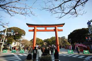 Foto, materieel, vrij, landschap, schilderstuk, bevoorraden foto,Hachiman-gu Heiligdom benadering van een heiligdom, Torii, Nieuw bezoek van Jaar naar een Shinto heiligdom, Een benadering van een heiligdom, Oversteekplaats