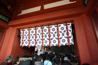 photo, la matire, libre, amnage, dcrivez, photo de la rserve,Hachiman-gu temple Hongu, , Un temple suprieur, temple principal, 