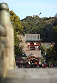 fotografia, materiale, libero il panorama, dipinga, fotografia di scorta,Hachiman-gu il sacrario Hongu, , Un sacrario superiore, sacrario principale, 