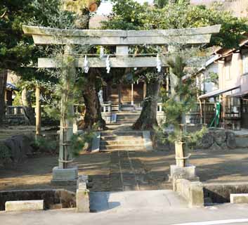 fotografia, materiale, libero il panorama, dipinga, fotografia di scorta,Kamakura Yasaka Oga il torii, Sacrario scintoista, Scintoismo, Festone di paglia scintoista, Il pino di anno Nuovo e decorazioni di bamb