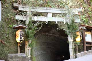 foto,tela,gratis,paisaje,fotografa,idea,Torii del santuario de Zeniarai - benten, Torii, Tnel, Esposa de zen - sacerdote principal, Dinero - hacer