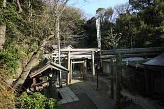 fotografia, material, livra, ajardine, imagine, proveja fotografia,Zeniarai-benten Santurio torii, torii, Adorao, Esposa de zen-padre principal, Lucrativo