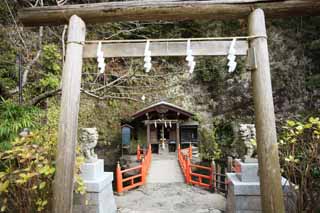 foto,tela,gratis,paisaje,fotografa,idea,Santuario de Zeniarai - benten, Torii, Par de tutor perros de piedra, Espejo, Dinero - hacer