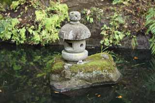 Foto, materieel, vrij, landschap, schilderstuk, bevoorraden foto,Zeniarai-benten Heiligdom stenige lantaarn, Stenige lantaarn, Kikker, Vrouw van de opperhoofd zen-pastoor, Geld-vervaardiging