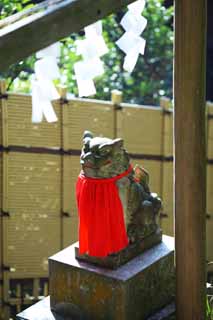 photo, la matire, libre, amnage, dcrivez, photo de la rserve,Paire de Temple Zeniarai-benten de chiens du gardien de pierre, chef, Un tablier, Femme de zen-prtre principal, Lucratif