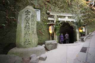 Foto, materiell, befreit, Landschaft, Bild, hat Foto auf Lager,Zeniarai-benten Shrine torii, torii, Tunnel, Frau des Hauptzen-Priesters, Profitabel