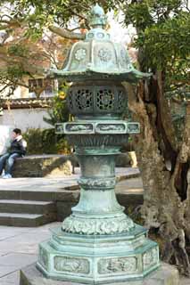 photo,material,free,landscape,picture,stock photo,Creative Commons,Kamakura great statue of Buddha garden lantern, , , Soong style, Buddhism sculpture