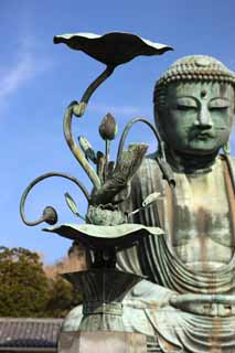 ,,, ,,,Kamakura    , , ., .,   .