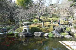 Foto, materiell, befreit, Landschaft, Bild, hat Foto auf Lager,Hase-dera Temple-Garten, steinigen Sie Laterne, Goldfisch, Buddhismus, Chaitya