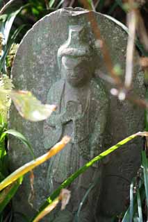 Foto, materiell, befreit, Landschaft, Bild, hat Foto auf Lager,Hase-dera-Tempel Ishibotoke, steinigen Sie Statue, Grass, Buddhismus, Chaitya