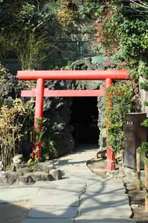 fotografia, material, livra, ajardine, imagine, proveja fotografia,Hase-dera Templo esposa de caverna de zen-padre principal, torii, Esposa de zen-padre principal, Sarasvati, Budismo