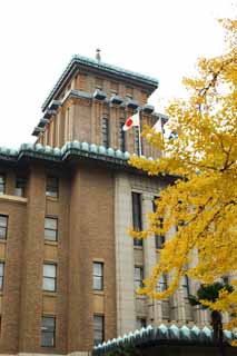 Foto, materieel, vrij, landschap, schilderstuk, bevoorraden foto,De Kanagawa prefectural werkkring, Ginkgo, Kleurig verloven, Nationale vlag, Baksteen