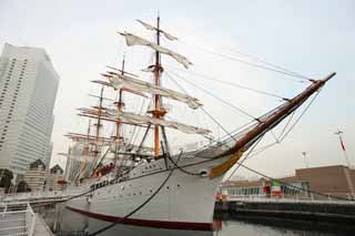 Foto, materieel, vrij, landschap, schilderstuk, bevoorraden foto,Nippon-maru, Zeilende boot, Schip, Mast, Zeil