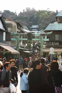 photo,material,free,landscape,picture,stock photo,Creative Commons,A torii of the Enoshima bronze, torii, New Year holidays decoration, An approach to a shrine, New Year's visit to a Shinto shrine