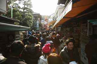 Foto, materieel, vrij, landschap, schilderstuk, bevoorraden foto,Enoshima benadering van een heiligdom, Gedenkteken winkel, Nieuw bezoek van Jaar naar een Shinto heiligdom, Marine producten, Gedroogde vis