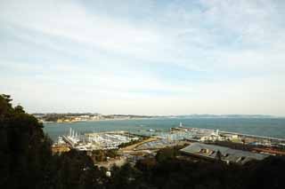Foto, materiell, befreit, Landschaft, Bild, hat Foto auf Lager,Das Meer von Enoshima, Jachthafen, Miura-Halbinsel, Jacht, Deich