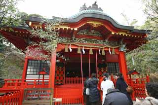 foto,tela,gratis,paisaje,fotografa,idea,Santuario de Nakatsu del santuario de Eshima, , Santuario sintosta, , Ozunu Enno