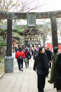 fotografia, materiale, libero il panorama, dipinga, fotografia di scorta,Sacrario di Eshima il sacrario di Okutsu, torii, Sacrario scintoista, , Ozunu Enno