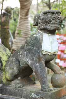 Foto, materiell, befreit, Landschaft, Bild, hat Foto auf Lager,Eshima Shrine Okutsu-Schrein, Paar von Steinhterhunden, Schintoistischer Schrein, hchst Hund, Eine Schrze